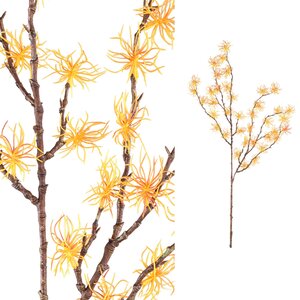Twig Plant Geel Hamamelis-spray