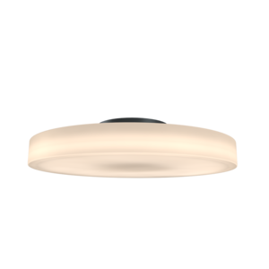 Allround Flat plafondlamp