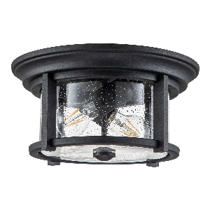 Merrill 2-lichts plafondlamp - Zwart von Elstead