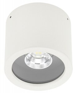 Opbouwspot voor plafond type nr. 2319